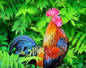 Adorable Rooster Paint By Numbers