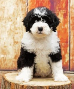 Cute Sheepadoodle Paint By Numbers