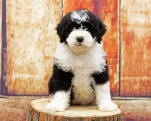 Cute Sheepadoodle Paint By Numbers