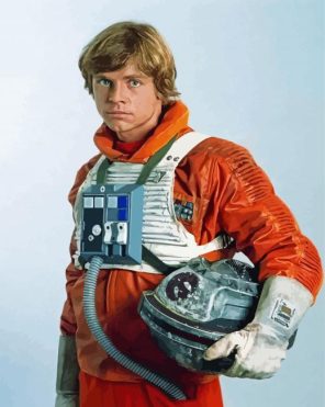 Luke Skywalker Star Wars Paint By Numbers