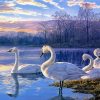 Cute Swans Paint By Numbers