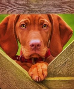 Vizsla Puppy Paint By Numbers