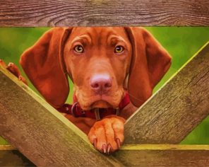 Vizsla Puppy Paint By Numbers