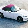 white Mazda Mx5 Paint By Numbers