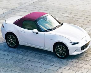 white Mazda Mx5 Paint By Numbers