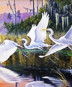 Crane Birds Art Paint By Numbers