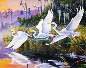 Crane Birds Art Paint By Numbers