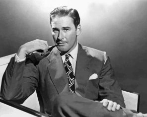 Errol Flynn Paint By Numbers