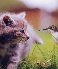 Cute Cat With Bird Paint By Numbers