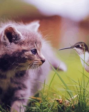 Cute Cat With Bird Paint By Numbers