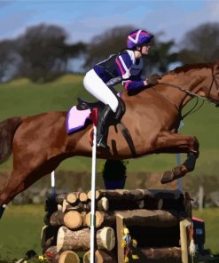 Aesthetic Horse Show Paint By Numbers