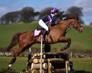 Aesthetic Horse Show Paint By Numbers