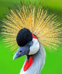 Cute Mohican Bird Paint By Numbers