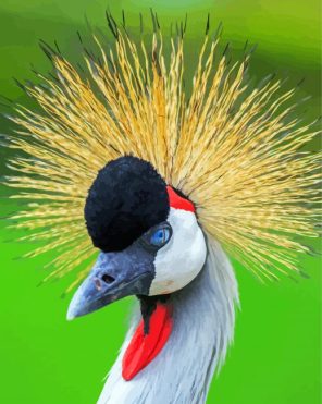 Cute Mohican Bird Paint By Numbers