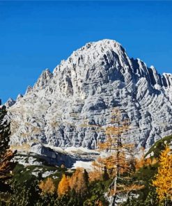 Birch Trees In Mountains Paint By Numbers