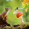 Cute Squirrel And Bird Paint By Numbers