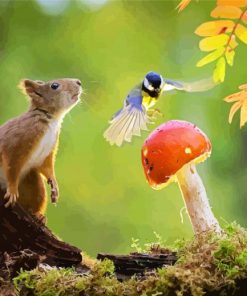 Cute Squirrel And Bird Paint By Numbers