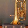 Tuba Instrument Paint By Numbers