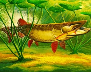 Aesthetic Muskie Fish Paint By Numbers