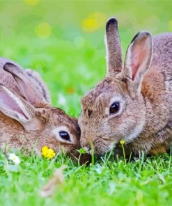 Adorable bunnies Paint By Numbers