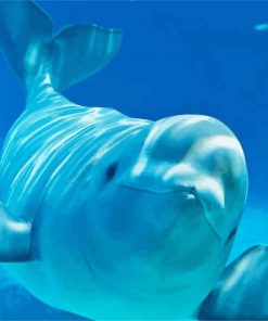 Aesthetic Beluga Whale Paint By Numbers