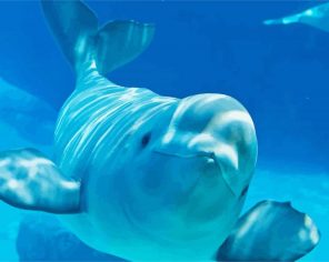 Aesthetic Beluga Whale Paint By Numbers