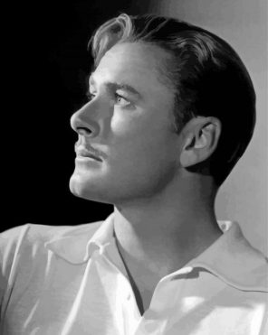 Handsome Errol Flynn Paint By Numbers