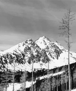 Snowy Hills Paint By Numbers