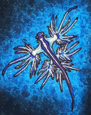 Aesthetic Nudibranch Paint By Numbers