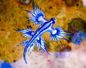 Blue Nudibranch Paint By Numbers