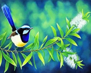 Blue Wren Bird Paint By Numbers