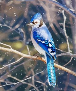 Jays Bird On Branche Paint By Numbers