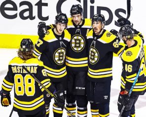 Bruins Hockey Team Paint By Numbers