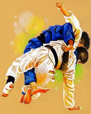 Brazilian Jiu Jitsu Paint By Numbers