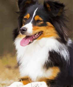 Adorable Breed Puppy Paint By Numbers