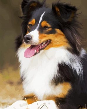 Adorable Breed Puppy Paint By Numbers