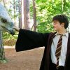 Buckbeak Harry Potter Paint By Numbers