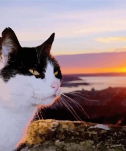 Adorable Tuxedo Kitty Paint By Numbers