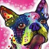 Colorful Terrier Dog Paint By Numbers