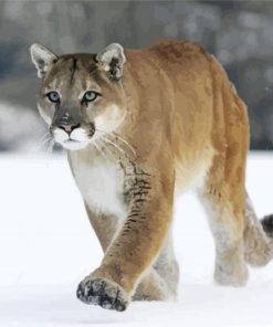 Cute Cougar Paint By Numbers