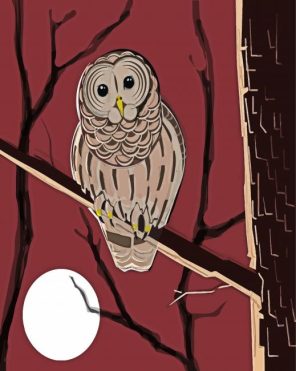 Barred Owl Art Paint By Numbers