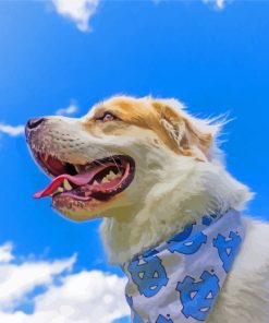 Great Pyrenees Paint By Numbers