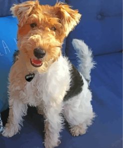 Wire Terrier Puppy Paint By Numbers