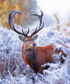 Deer In Winter Paint By Numbers