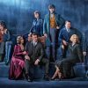 Fantastic Beasts Cast Paint By Numbers