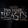 Fantastic Beasts Paint By Numbers