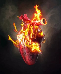 Fantasy Burning Heart Paint By Numbers