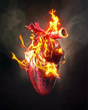 Fantasy Burning Heart Paint By Numbers