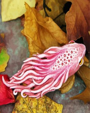 Artistic Nudibranch Paint By Numbers