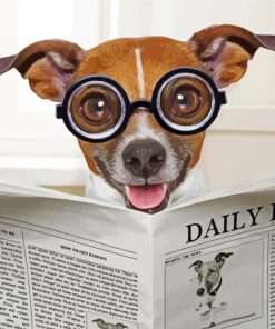 Dog Read News Paint By Numbers